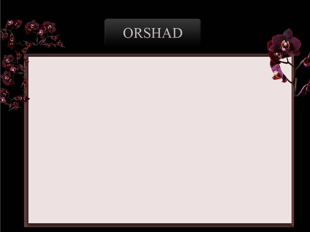 myspace_layout copy.jpg